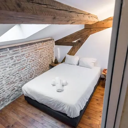 Typical Duplex Flat Capitole * Toulouse
